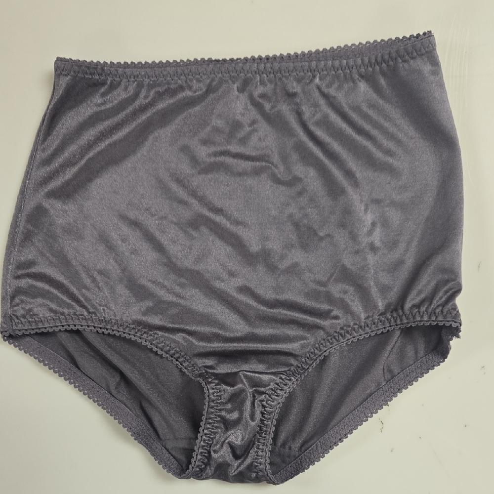 Vassarette Gray Brief